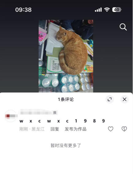 留联系方式被秒删？来试试这款防删工具