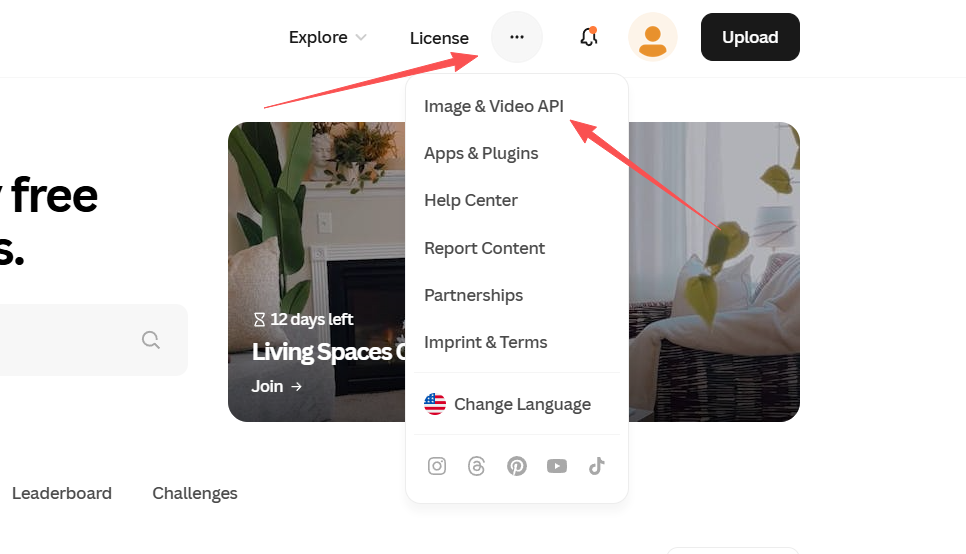 Pexels视频素材批量下载工具-使用说明