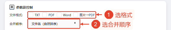 显示可用文件格式和合并顺序的参数与控件区域。