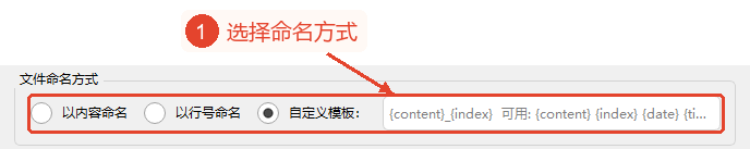 文件命名方式区域，显示选择自定义模板后的输入框。